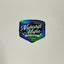 “Late Nights” Holographic Badge Sticker